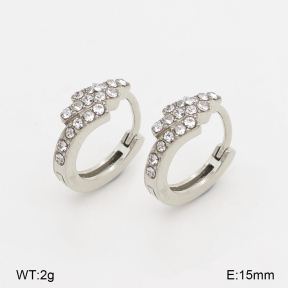 2E4005290bhia-226  Stainless Steel Earrings