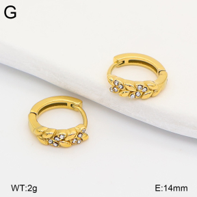 2E4005291vhkb-226  Stainless Steel Earrings