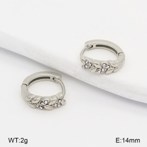 2E4005292bhia-226  Stainless Steel Earrings