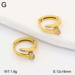 2E4005293ahjb-226  Stainless Steel Earrings