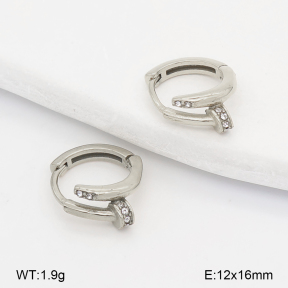 2E4005294vhha-226  Stainless Steel Earrings