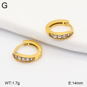 2E4005295ahjb-226  Stainless Steel Earrings