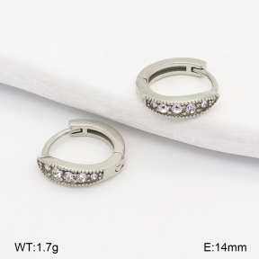 2E4005296vhha-226  Stainless Steel Earrings