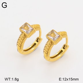2E4005297ahjb-226  Stainless Steel Earrings