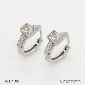 2E4005298vhha-226  Stainless Steel Earrings