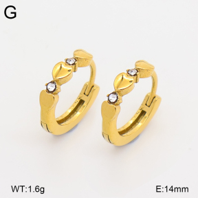 2E4005299ahjb-226  Stainless Steel Earrings