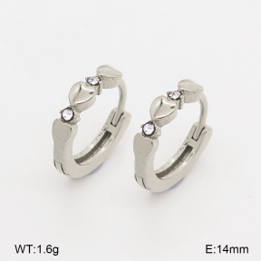 2E4005300vhha-226  Stainless Steel Earrings