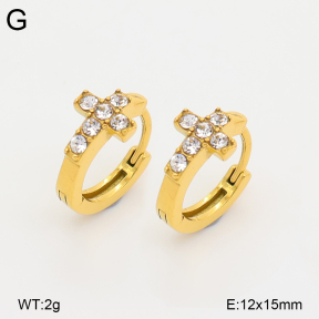 2E4005301vhkb-226  Stainless Steel Earrings