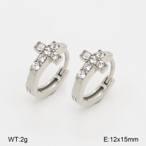 2E4005302bhia-226  Stainless Steel Earrings