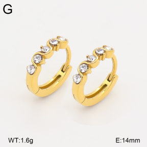 2E4005303ahjb-226  Stainless Steel Earrings