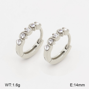 2E4005304vhha-226  Stainless Steel Earrings