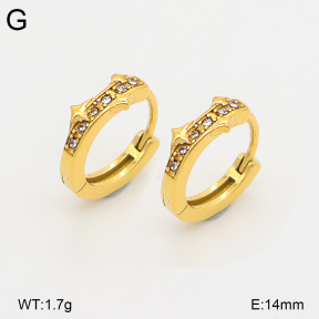 2E4005305vhkb-226  Stainless Steel Earrings