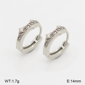 2E4005306bhia-226  Stainless Steel Earrings
