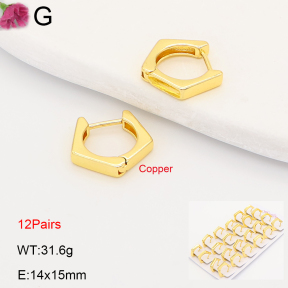 F2E202187ajma-J201  Fashion Copper Earrings