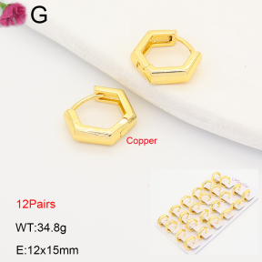 F2E202188ajma-J201  Fashion Copper Earrings
