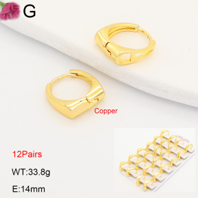 F2E202189ajma-J201  Fashion Copper Earrings