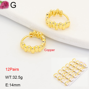 F2E202190ajma-J201  Fashion Copper Earrings