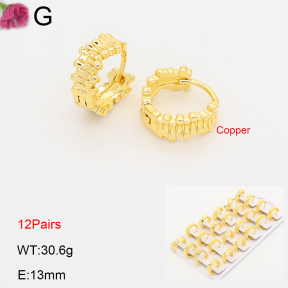 F2E202191ajma-J201  Fashion Copper Earrings