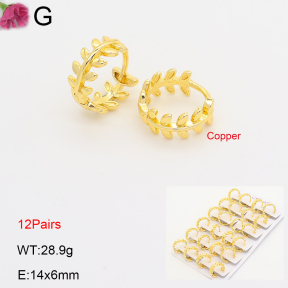 F2E202192ajma-J201  Fashion Copper Earrings