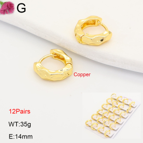 F2E202193ajma-J201  Fashion Copper Earrings