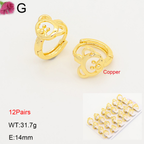 F2E202195ajma-J201  Fashion Copper Earrings