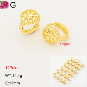 F2E202196ajma-J201  Fashion Copper Earrings