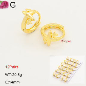 F2E202197ajma-J201  Fashion Copper Earrings