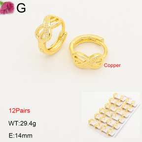F2E202198ajma-J201  Fashion Copper Earrings