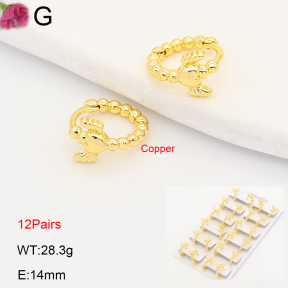 F2E202199ajma-J201  Fashion Copper Earrings