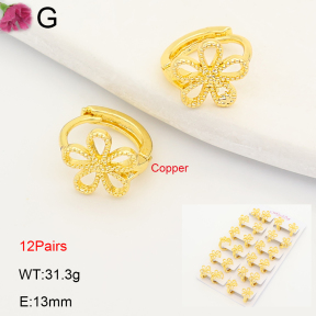 F2E202201ajma-J201  Fashion Copper Earrings