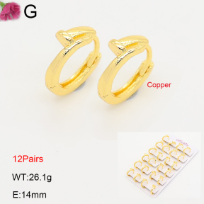 F2E202202ajma-J201  Fashion Copper Earrings