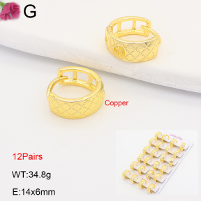F2E202205ajma-J201  Fashion Copper Earrings