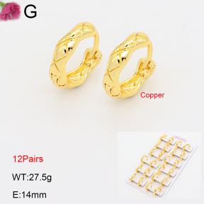 F2E202206ajma-J201  Fashion Copper Earrings