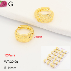F2E202207ajma-J201  Fashion Copper Earrings