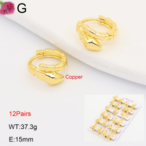 F2E202209ajma-J201  Fashion Copper Earrings