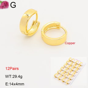 F2E202210ajma-J201  Fashion Copper Earrings