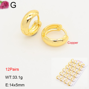 F2E202211ajma-J201  Fashion Copper Earrings