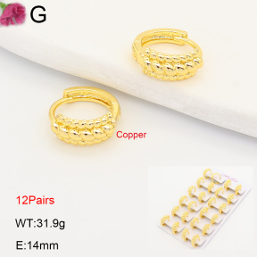 F2E202213ajma-J201  Fashion Copper Earrings