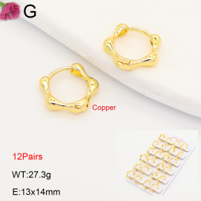 F2E202215ajma-J201  Fashion Copper Earrings