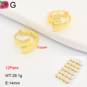 F2E202218ajma-J201  Fashion Copper Earrings