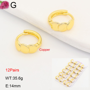 F2E202219ajma-J201  Fashion Copper Earrings