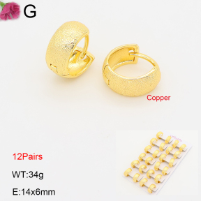 F2E202220ajma-J201  Fashion Copper Earrings