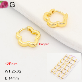F2E202221ajma-J201  Fashion Copper Earrings