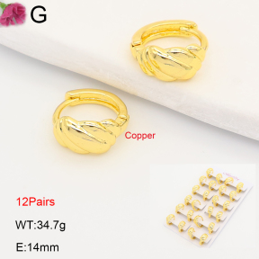 F2E202223ajma-J201  Fashion Copper Earrings
