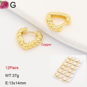F2E202224ajma-J201  Fashion Copper Earrings