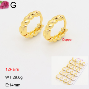 F2E202225ajma-J201  Fashion Copper Earrings