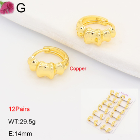 F2E202226ajma-J201  Fashion Copper Earrings