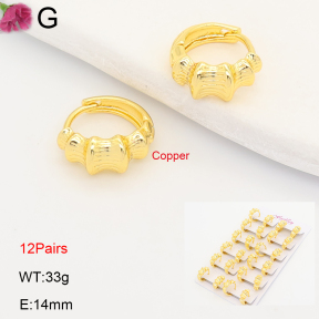 F2E202227ajma-J201  Fashion Copper Earrings