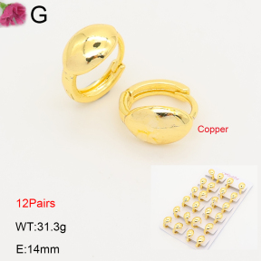 F2E202228ajma-J201  Fashion Copper Earrings