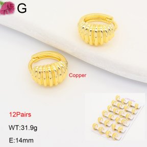 F2E202229ajma-J201  Fashion Copper Earrings